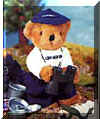 Camper Bear