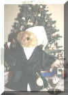 Scrooge Bear