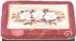 cardinal.jpg (98619 bytes)